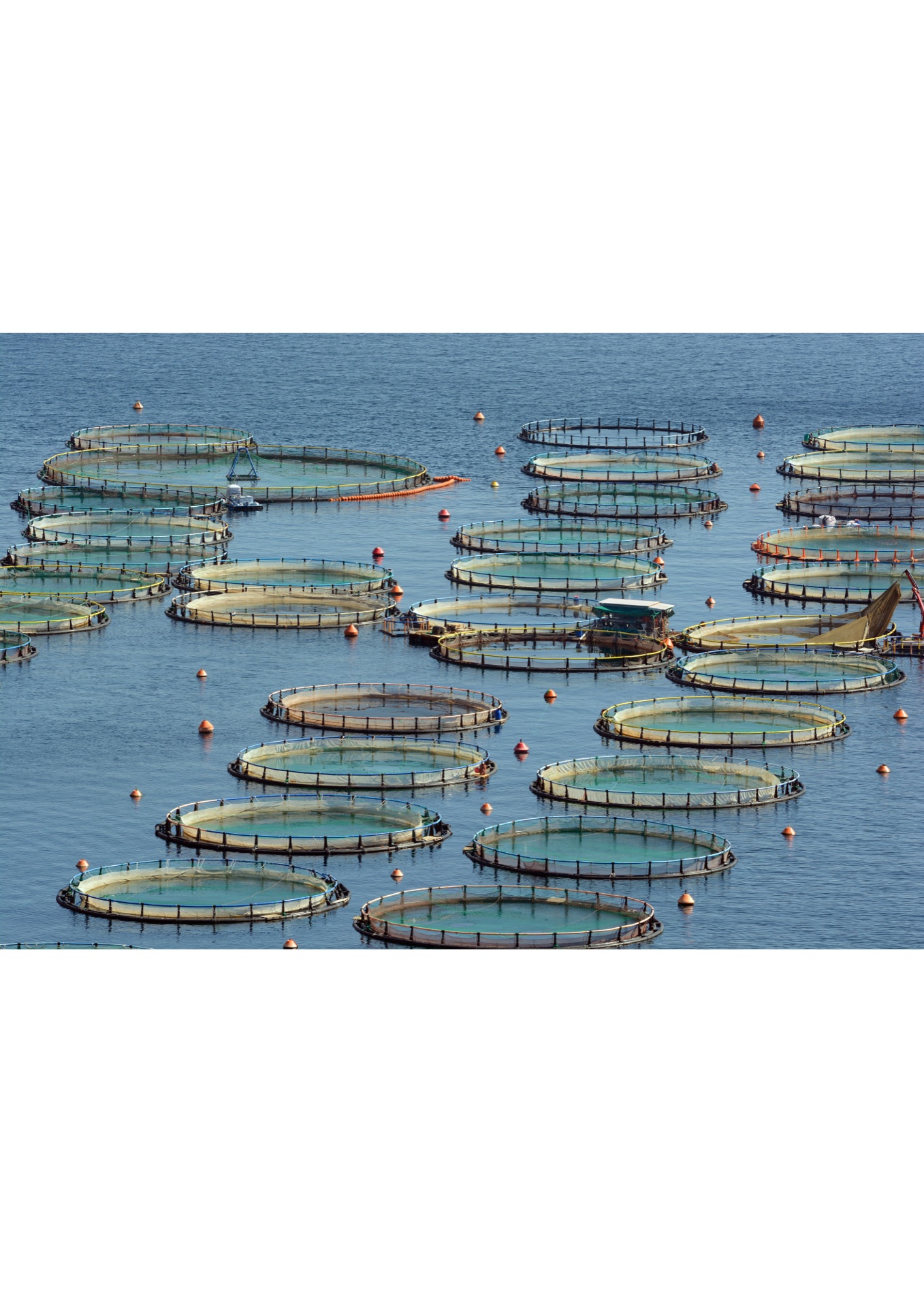 Norway aquaculture